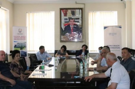 Virtual meeting of health experts of Tajikistan and Malaysia