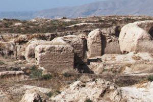 Scientific reference on ancient agricultural settlement SARAZM (mid-IV - III millennium BC)